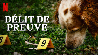 Délit de preuve (2019)