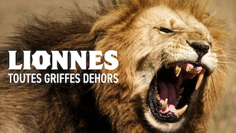 Lionnes : Toutes griffes dehors (2016)