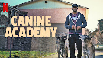 Canine Academy (2021)