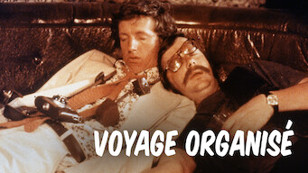 Voyage organisé (1980)