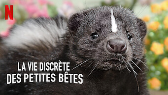 La vie discrète des petites bêtes (2020)