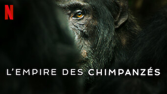 L'Empire des chimpanzés (2023)