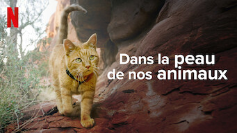 Dans la peau de nos animaux (2022)