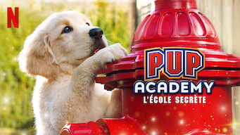 Pup Academy : L'école secrète (2020)