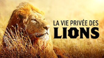 La Vie privée des lions (2016)